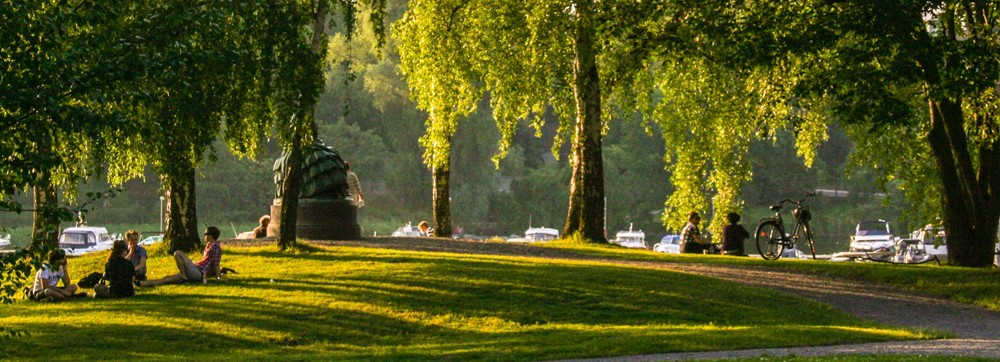 Bästa parkerna i Vasastan 2026